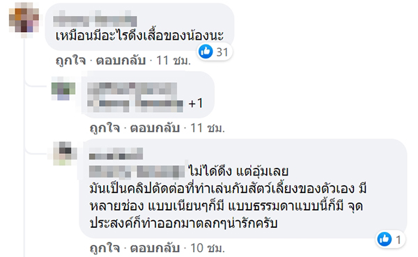 หมาตกใจหนังผี หมาตกใจหนังผี