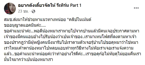 หมาหายถูกสาวสวมรอยเป็นเจ้าของ หมาหายถูกสาวสวมรอยเป็นเจ้าของ