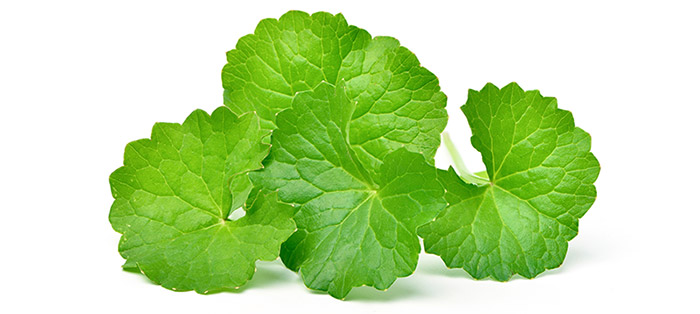 วิธีรักษาฝ้า วิธีรักษาฝ้า