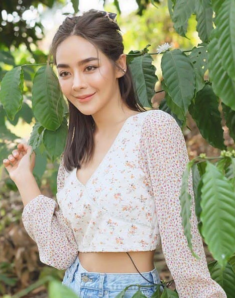 ปุยฝ้าย AF4 ปุยฝ้าย AF4