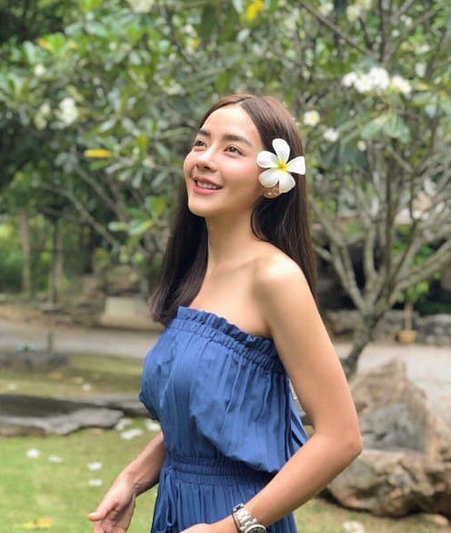 ปุยฝ้าย AF4 ปุยฝ้าย AF4