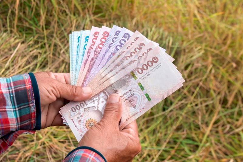 ตรวจสอบเงินประกันรายได้เกษตรกร ตรวจสอบเงินประกันรายได้เกษตรกร