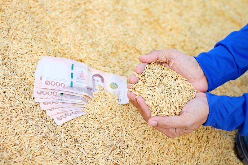 ตรวจสอบเงินประกันรายได้เกษตรกร ตรวจสอบเงินประกันรายได้เกษตรกร