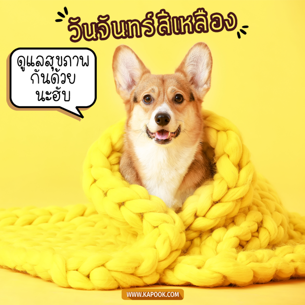 ดูดวงรายวัน ดูดวงรายวัน