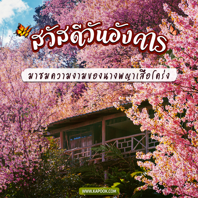 ดูดวงรายวัน ดูดวงรายวัน