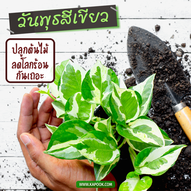 ดูดวงรายวัน ดูดวงรายวัน