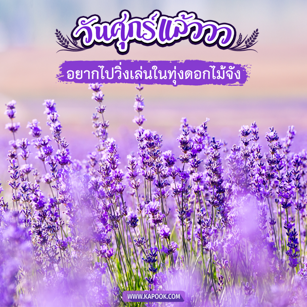 ดูดวงรายวัน ดูดวงรายวัน