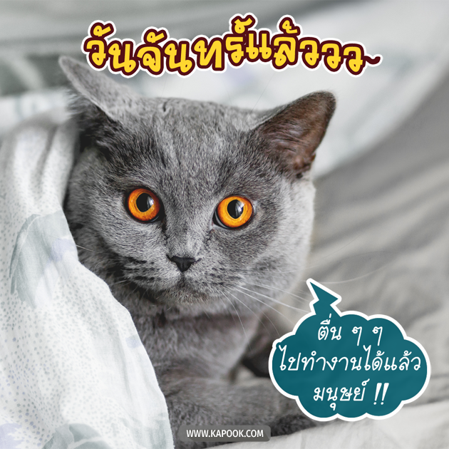 ดูดวงรายวัน ดูดวงรายวัน