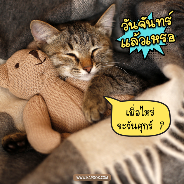 ดูดวงรายวัน ดูดวงรายวัน