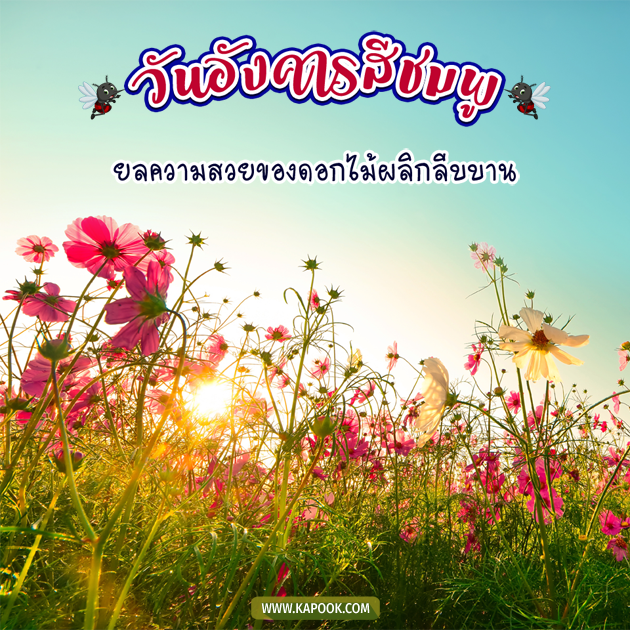 ดูดวงรายวัน ดูดวงรายวัน