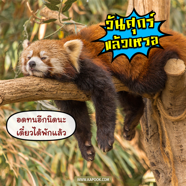 ดูดวงรายวัน ดูดวงรายวัน