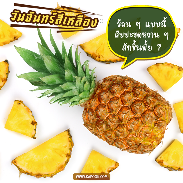 ดูดวงรายวัน ดูดวงรายวัน