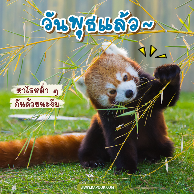 ดูดวงรายวัน ดูดวงรายวัน