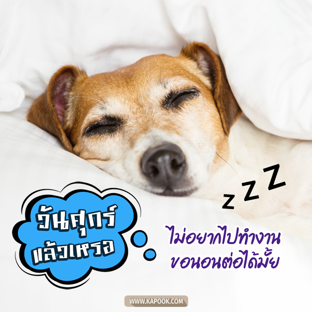 ดูดวงรายวัน ดูดวงรายวัน