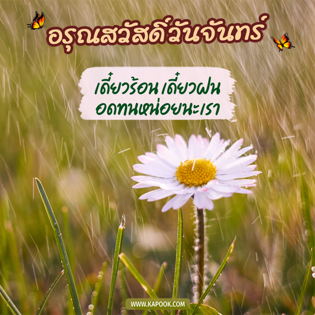 ดูดวงรายวัน ดูดวงรายวัน
