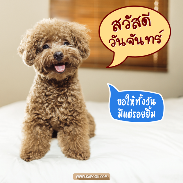 ดูดวงรายวัน ดูดวงรายวัน