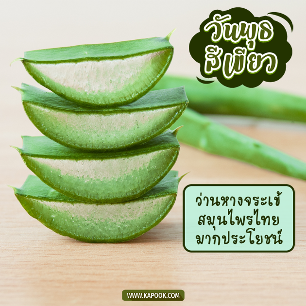 ดูดวงรายวัน ดูดวงรายวัน