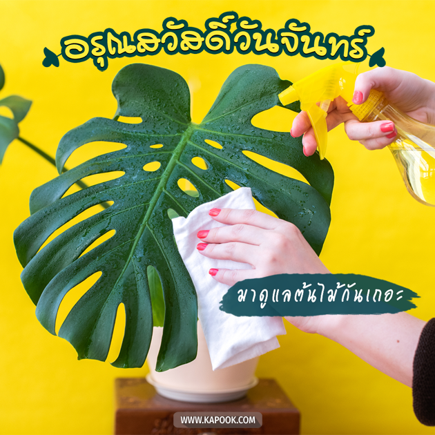 ดูดวงรายวัน ดูดวงรายวัน