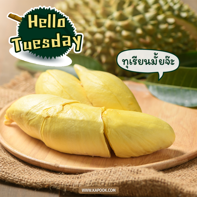 ดูดวงรายวัน ดูดวงรายวัน