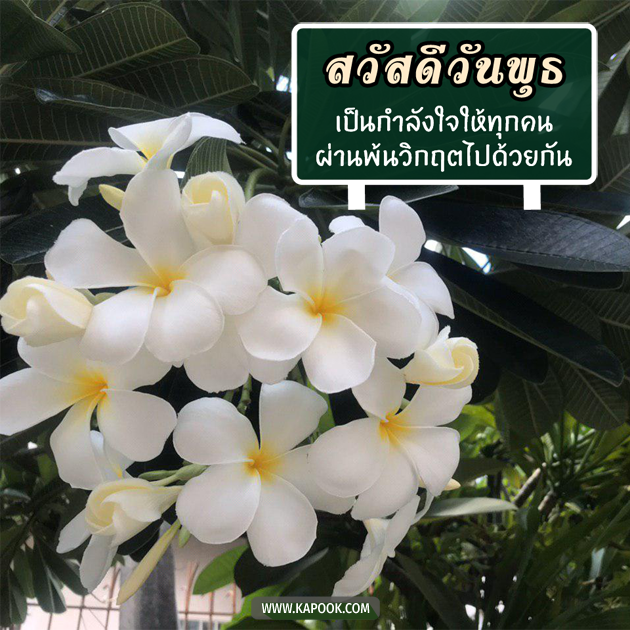ดูดวงรายวัน ดูดวงรายวัน