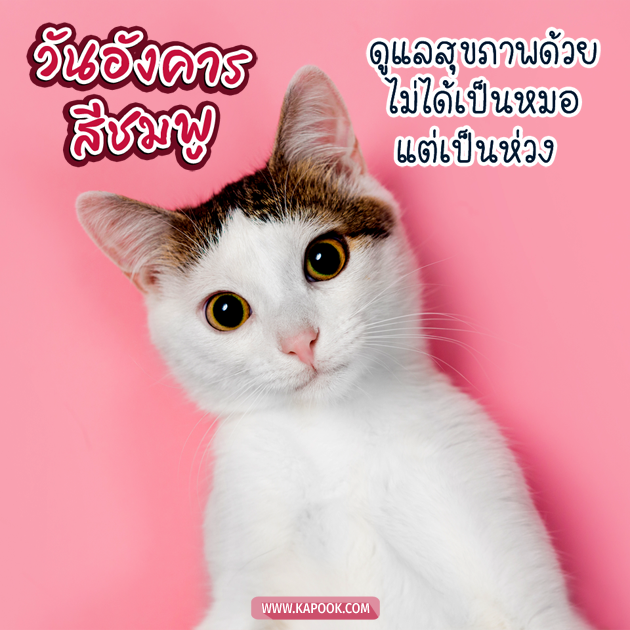 ดูดวงรายวัน ดูดวงรายวัน
