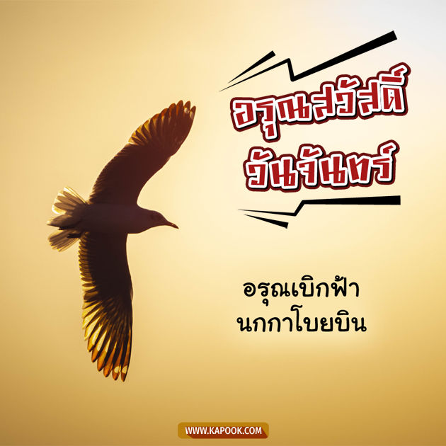 ดูดวงรายวัน ดูดวงรายวัน