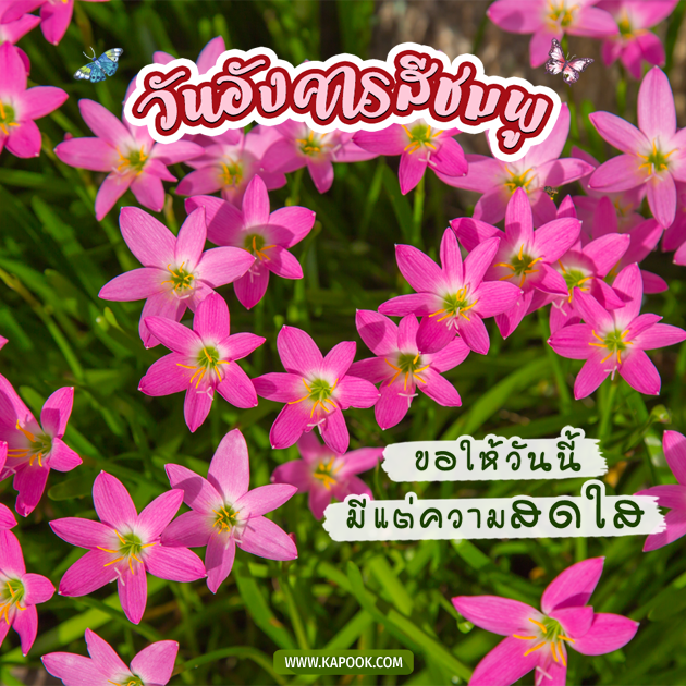 ดูดวงรายวัน ดูดวงรายวัน