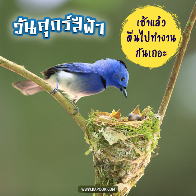 ดูดวงรายวัน ดูดวงรายวัน