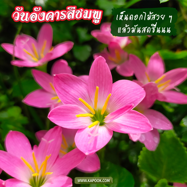 ดูดวงรายวัน ดูดวงรายวัน