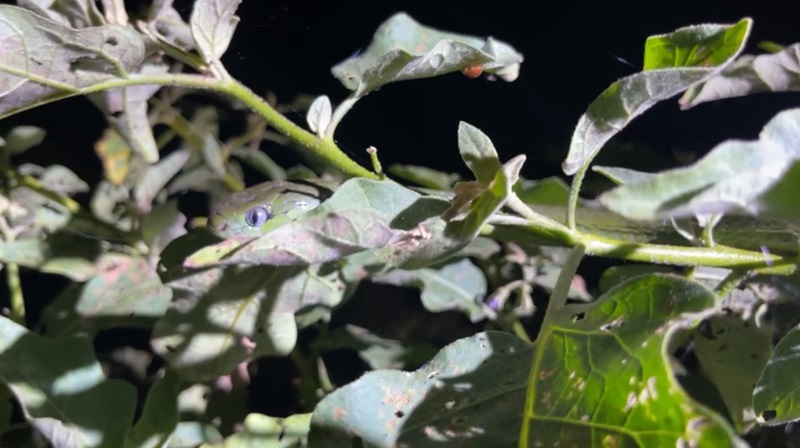 เลขเด็ดงวดนี้ เลขเด็ดงวดนี้