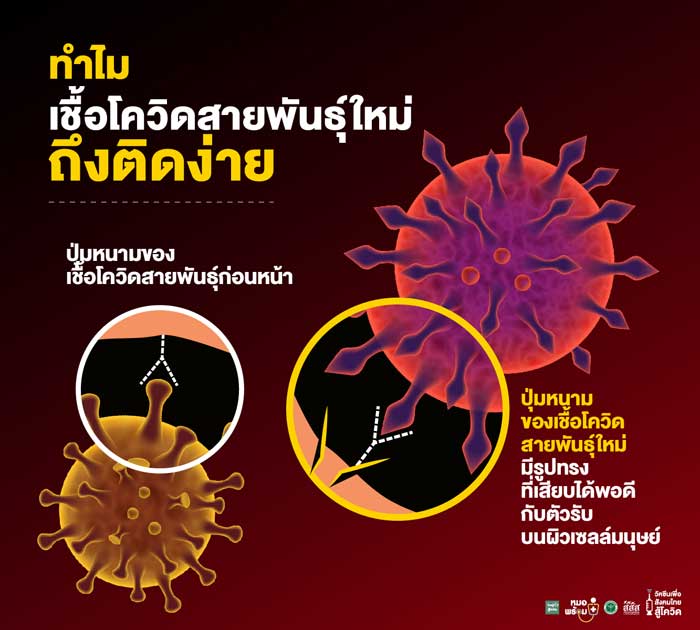 โควิดสายพันธุ์ใหม่ สสส โควิดสายพันธุ์ใหม่ สสส