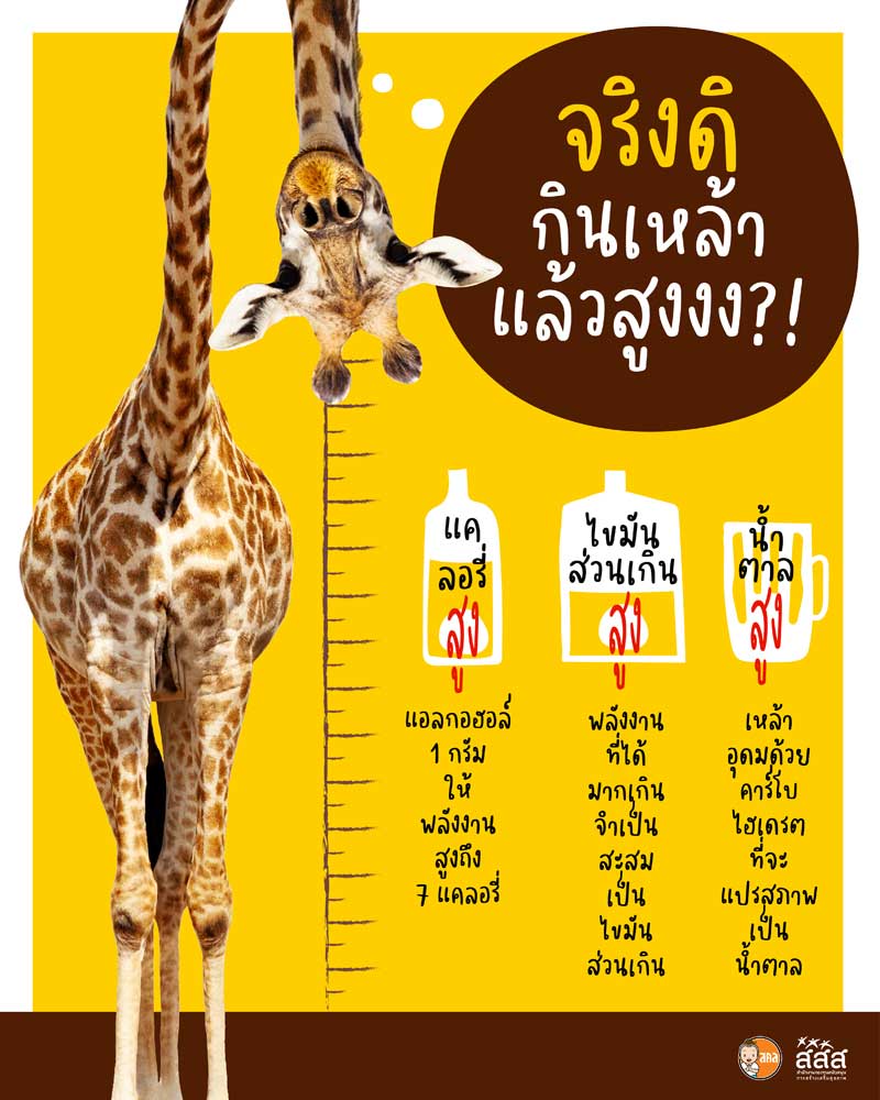 เหล้า 1 ขวด กินแล้วทำให้สูง เหล้า 1 ขวด กินแล้วทำให้สูง
