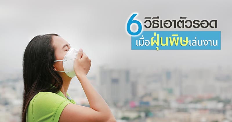 ฝุ่นพิษ ฝุ่นพิษ