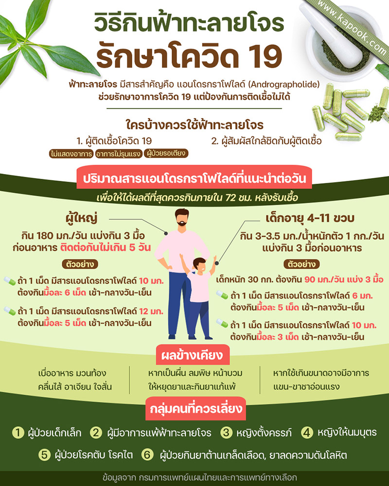 ฟ้าทะลายโจร ฟ้าทะลายโจร