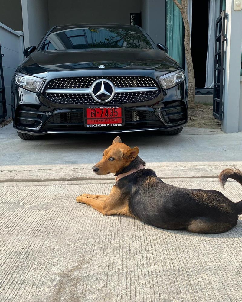 น้องหมูทะ น้องหมูทะ