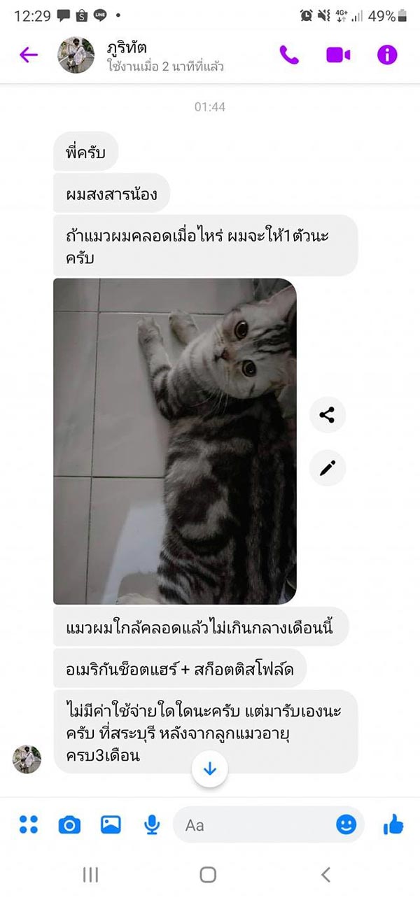 ข่าวงูกินแมว ข่าวงูกินแมว