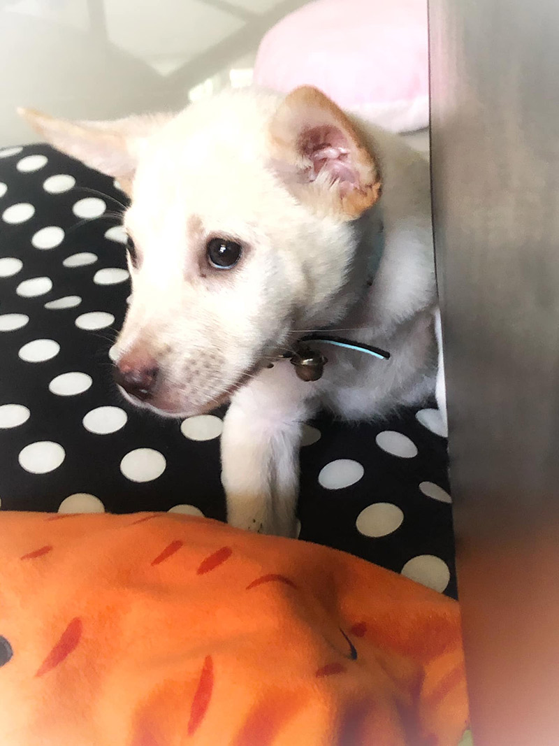 ติดใต้ท้องรถ ติดใต้ท้องรถ