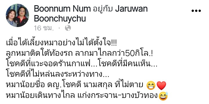 ติดใต้ท้องรถ ติดใต้ท้องรถ