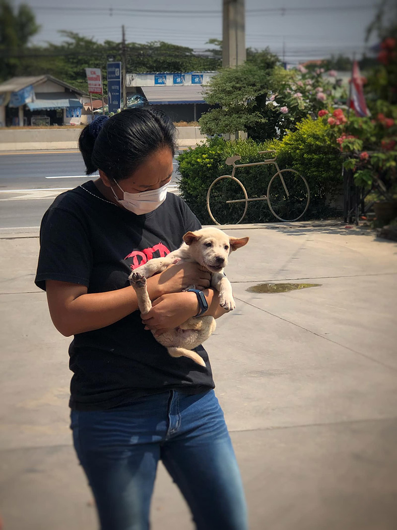 ติดใต้ท้องรถ ติดใต้ท้องรถ
