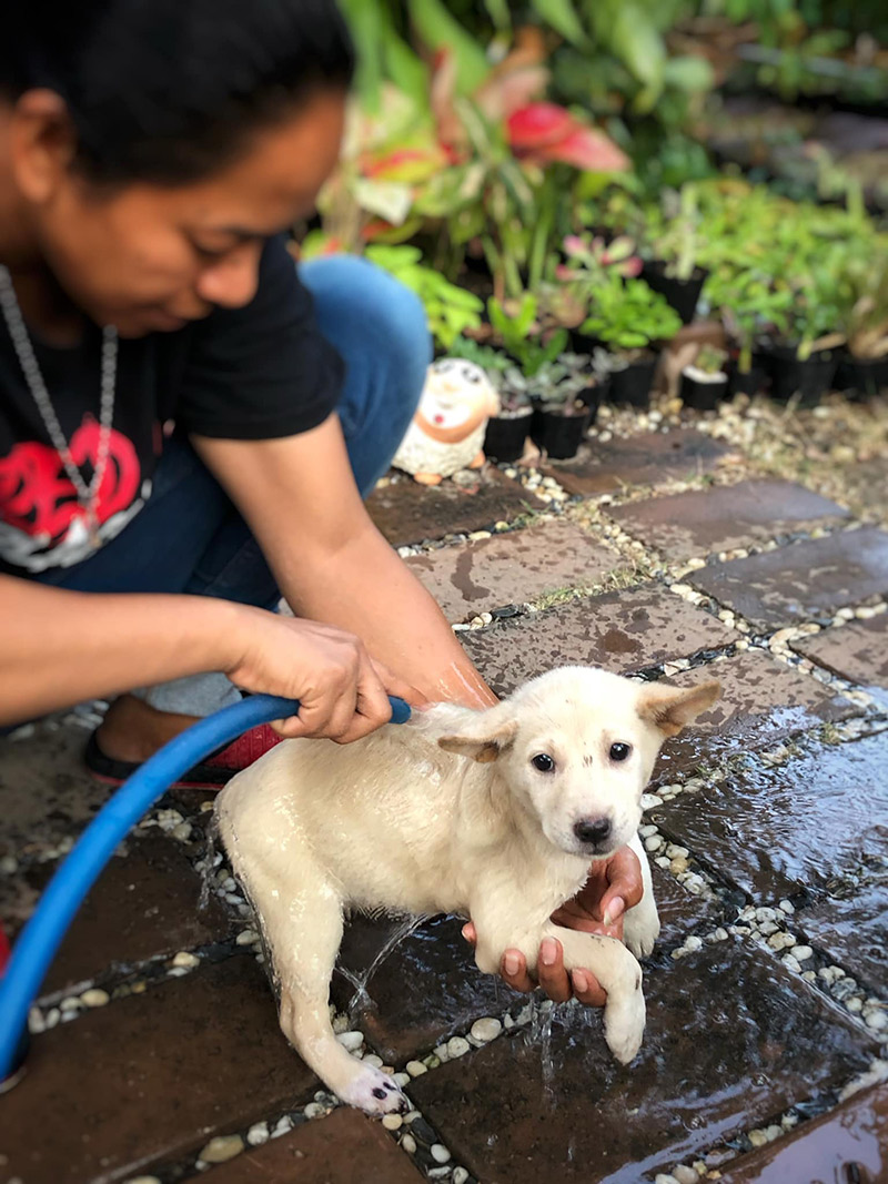 ติดใต้ท้องรถ ติดใต้ท้องรถ