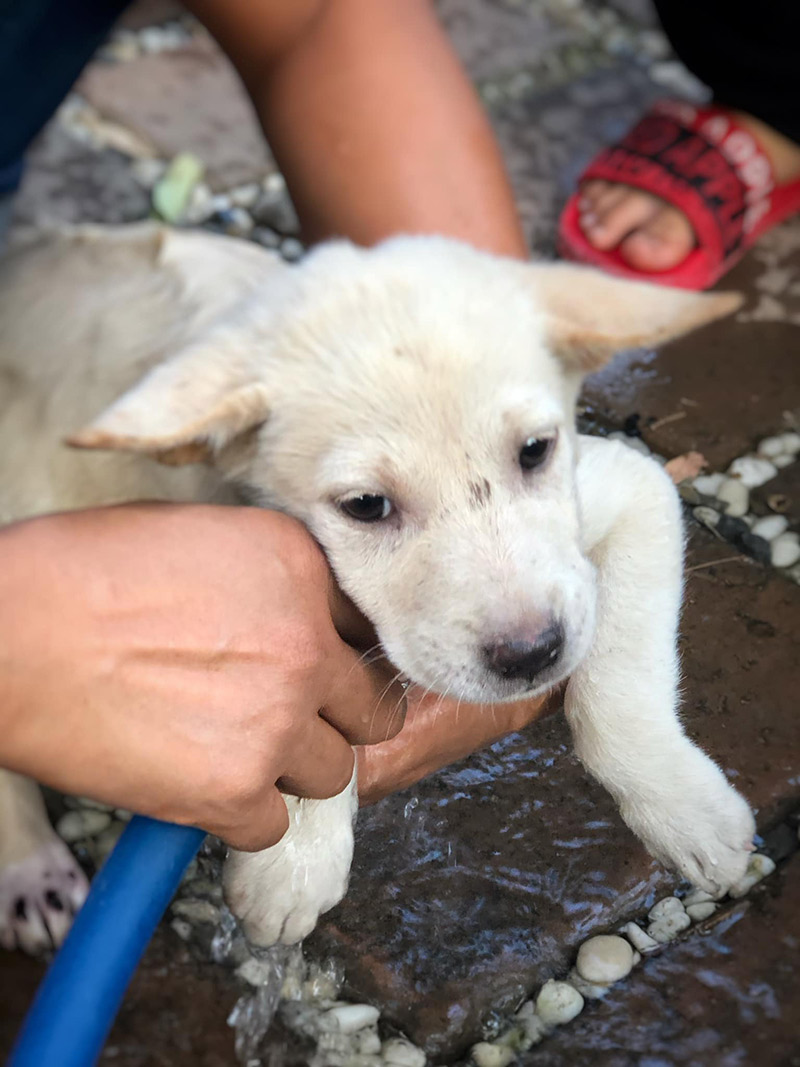 ติดใต้ท้องรถ ติดใต้ท้องรถ
