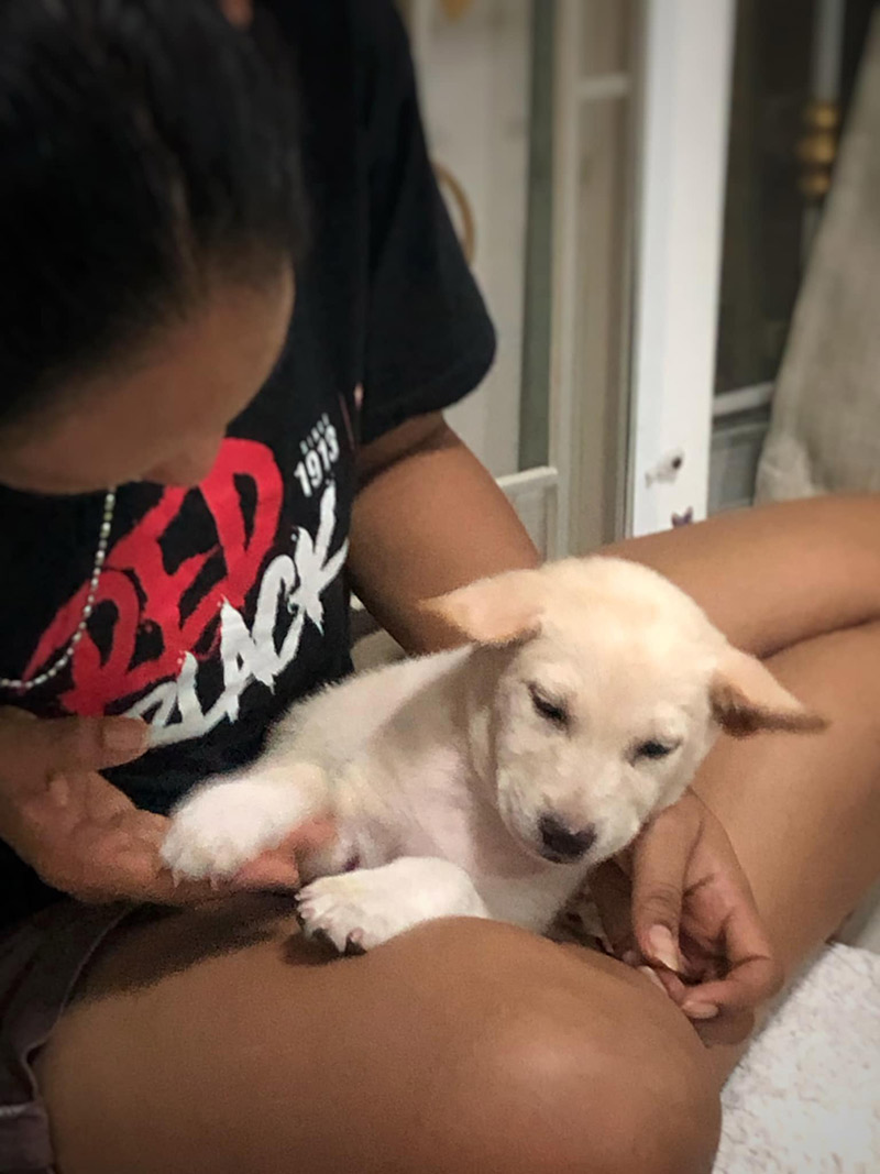 ติดใต้ท้องรถ ติดใต้ท้องรถ