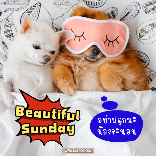 ดวงวันนี้ 31 มกราคม 2564 ดวงวันนี้ 31 มกราคม 2564