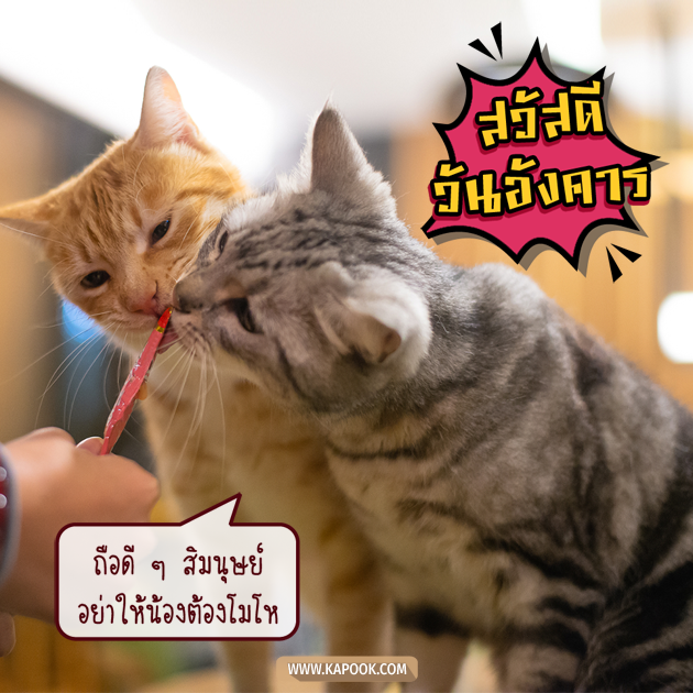 ดวงวันนี้ 4 พฤษภาคม 2564 ดวงวันนี้ 4 พฤษภาคม 2564