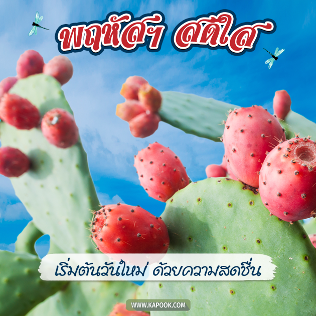 ดวงวันนี้ 12 สิงหาคม 2564 ดวงวันนี้ 12 สิงหาคม 2564