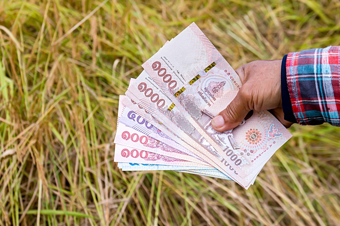 เงินช่วยเหลือชาวนา เงินช่วยเหลือชาวนา