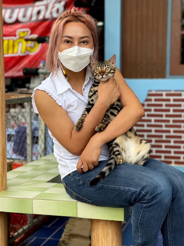 นัชญ์ ทูนหัวของบ่าว เปย์ ประมูลแมว กุ๊ก ระยอง นัชญ์ ทูนหัวของบ่าว เปย์ ประมูลแมว กุ๊ก ระยอง