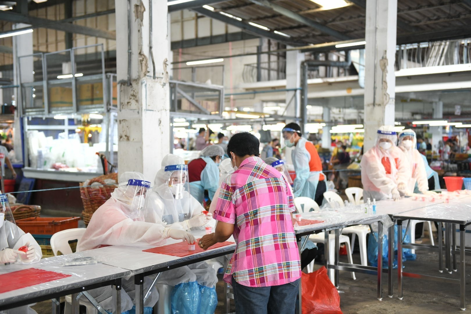 โควิด 19 โควิด 19