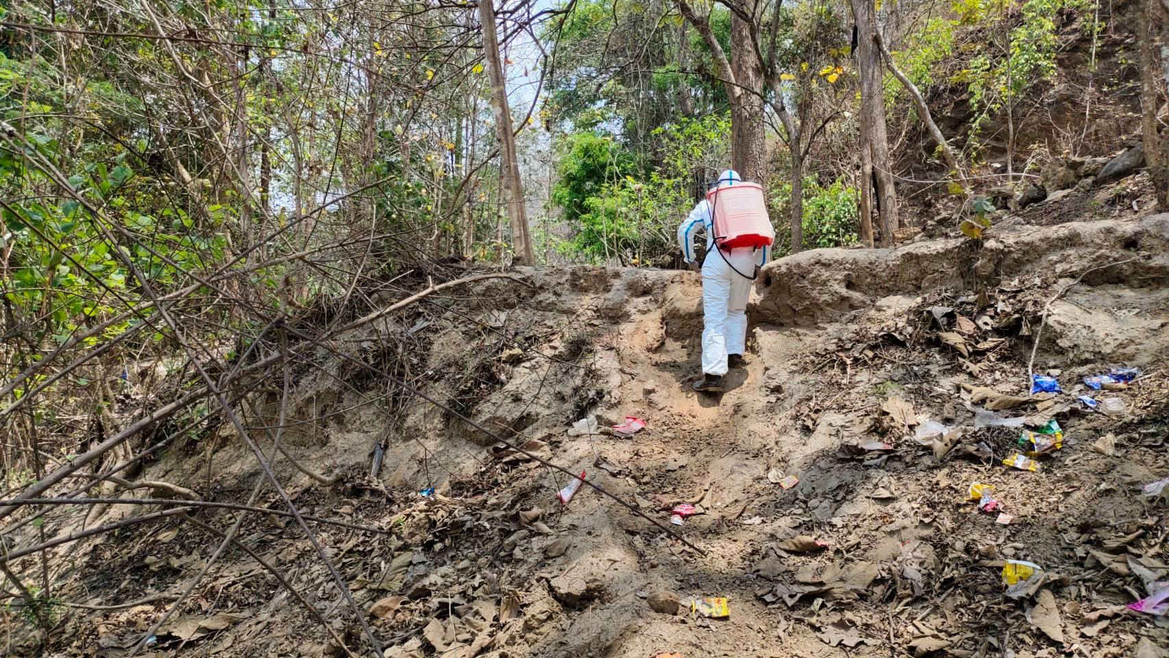 โควิด โควิด