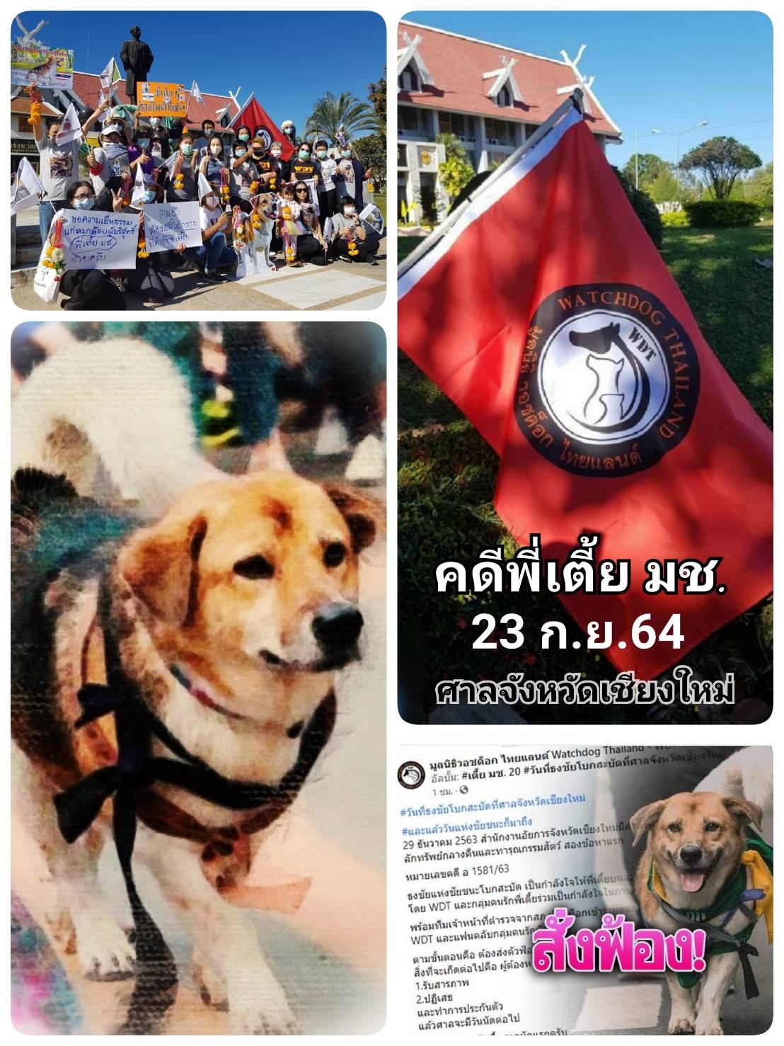 เตี้ย มช เตี้ย มช